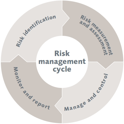 Risk management cycle diagram